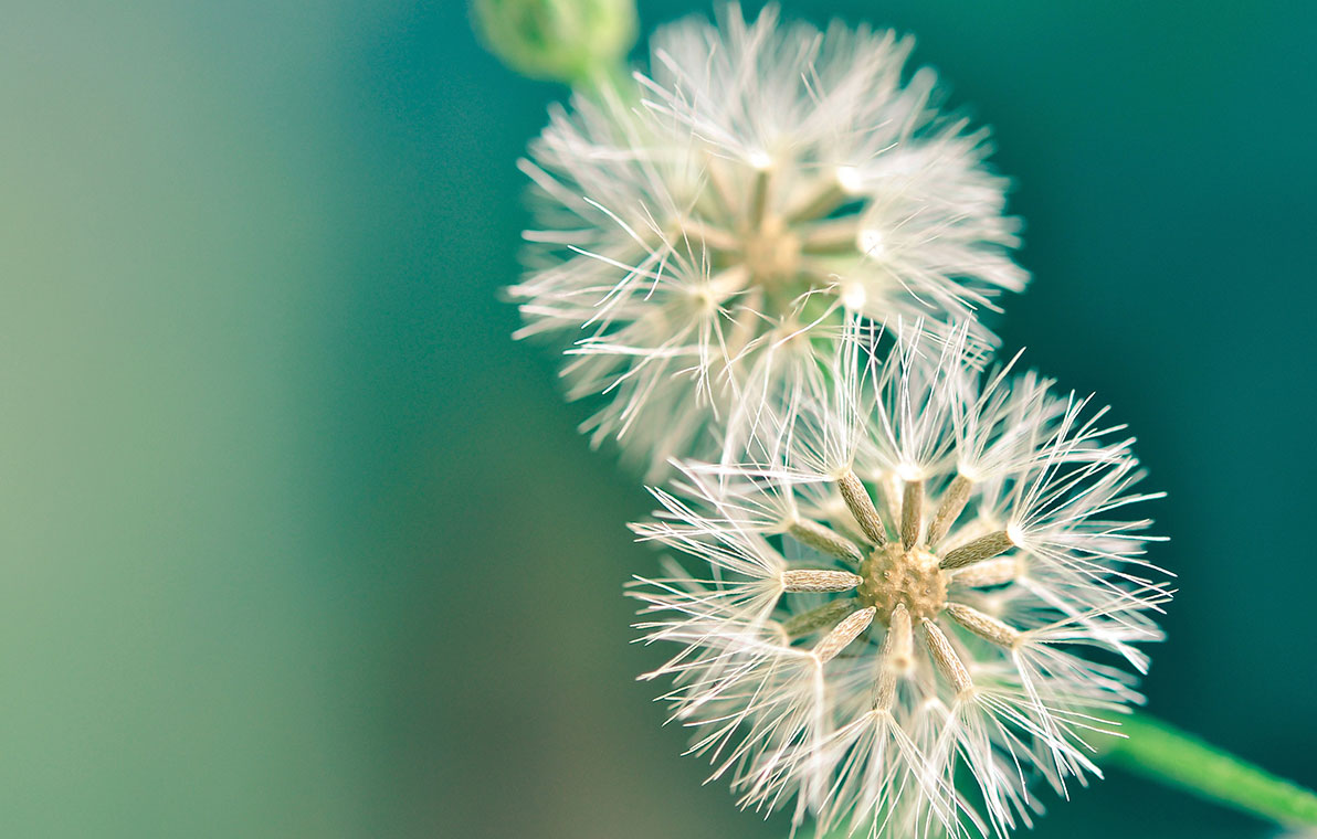 כשהרוח והחומר נפגשים